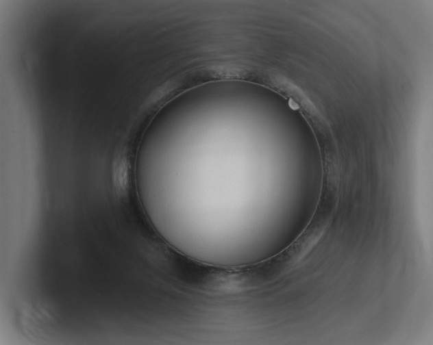 X0000102360071200808011501