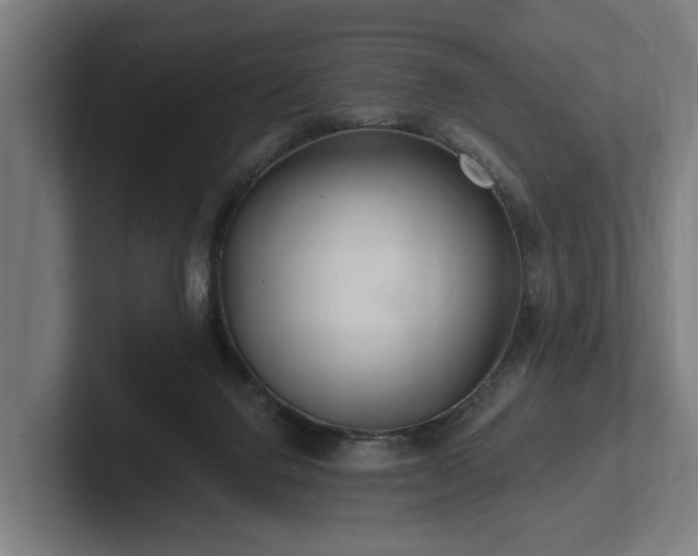 X0000102360072200808011501