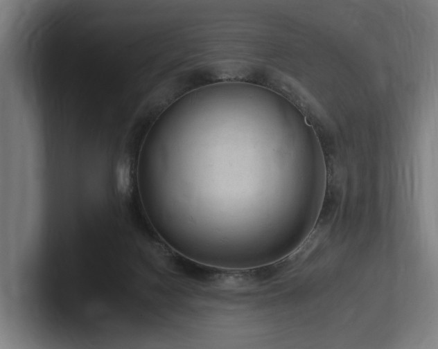 X0000102360074200808011501