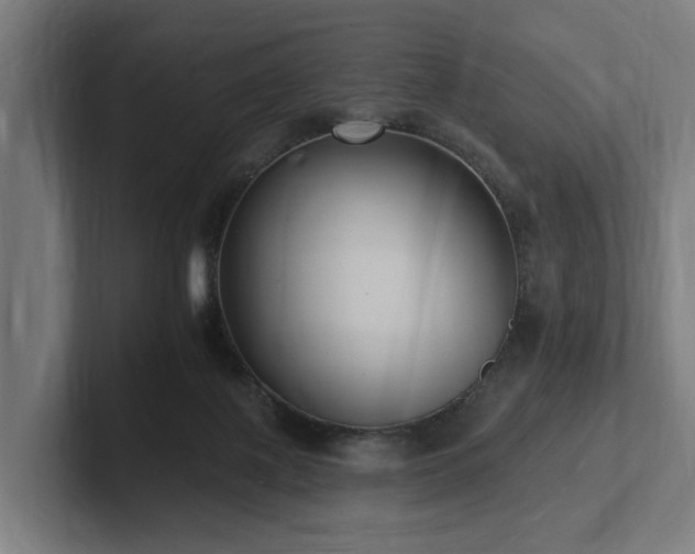X0000102360075200808011501