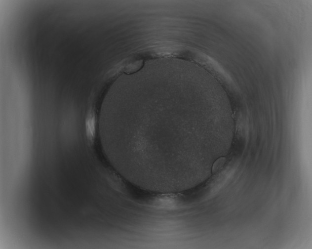 X0000102360076200808011501