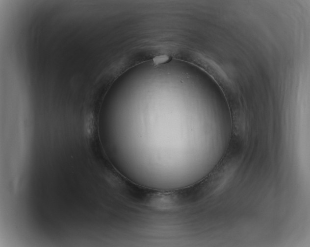 X0000102360077200808011501