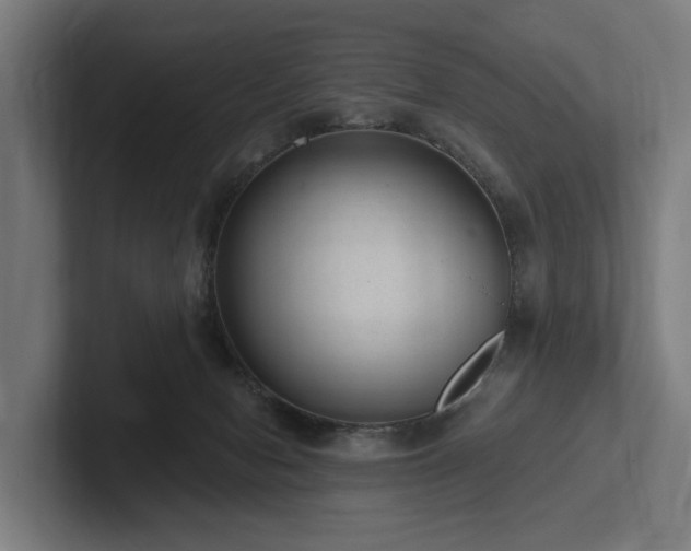 X0000102360078200808011501