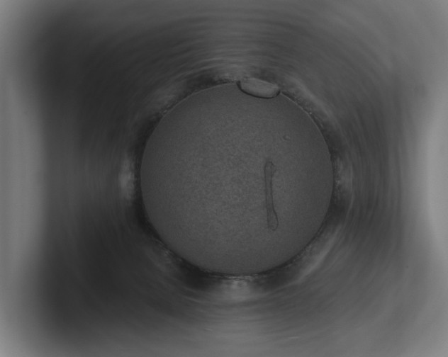 X0000102360080200808011501