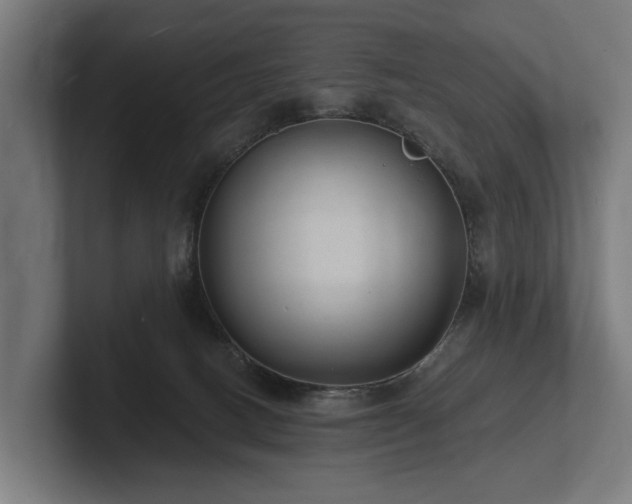 X0000102360082200808011501