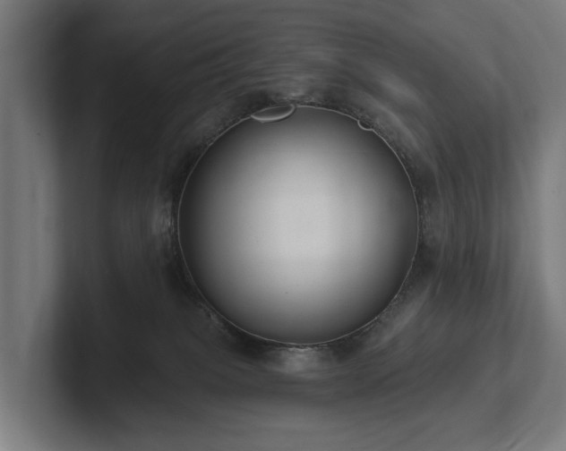 X0000102360085200808011501
