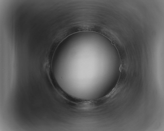 X0000102360086200808011501
