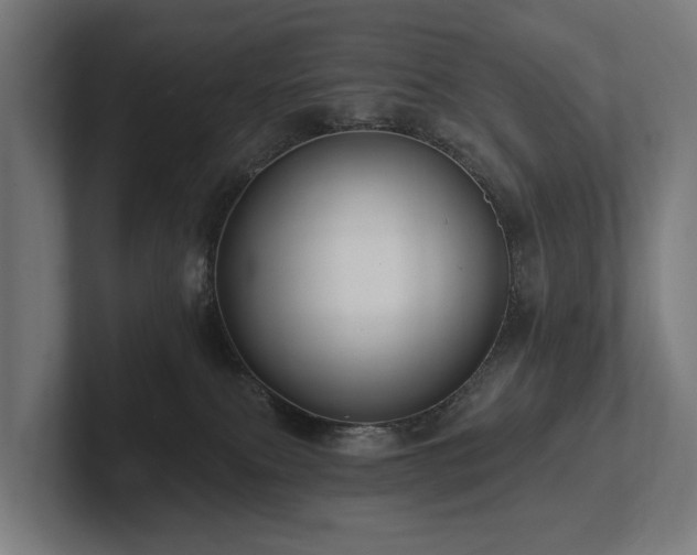 X0000102360087200808011501