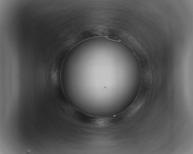 X0000102360088200808011501