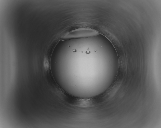 X0000102360089200808011501