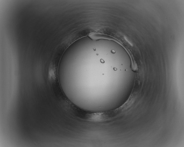 X0000102360090200808011501