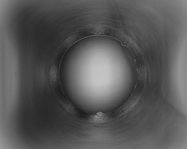 X0000102360092200808011501