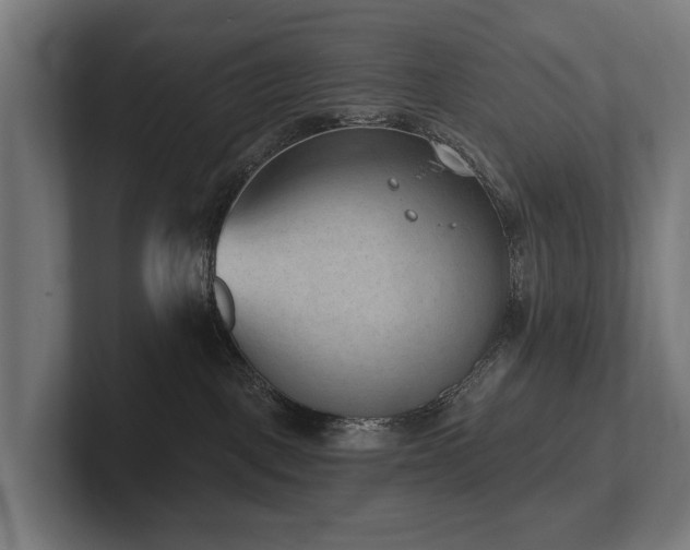 X0000102360093200808011501