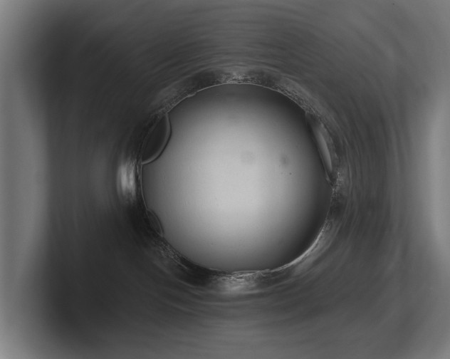 X0000102360094200808011501