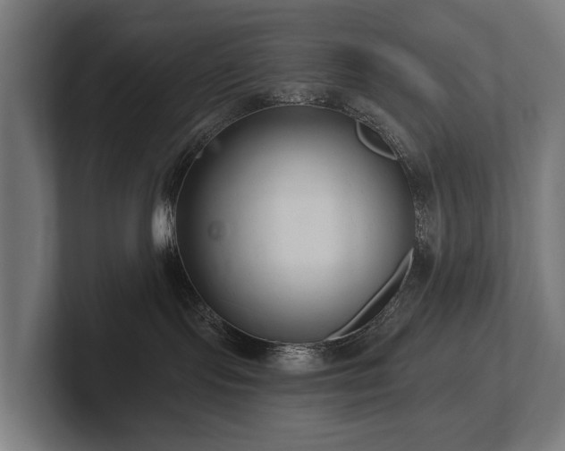 X0000102360095200808011501