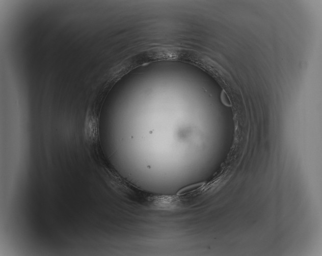 X0000102360096200808011502