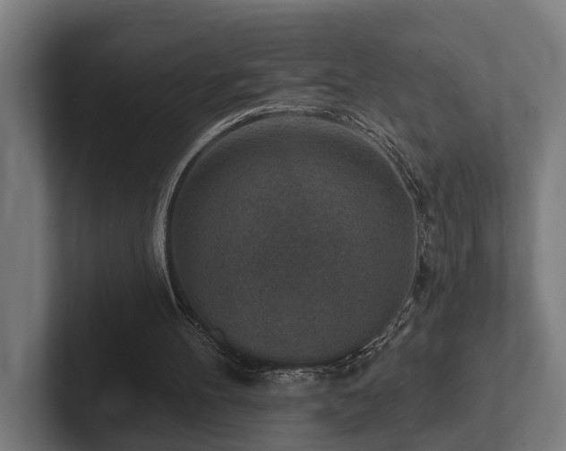 X0000102360100200808011501