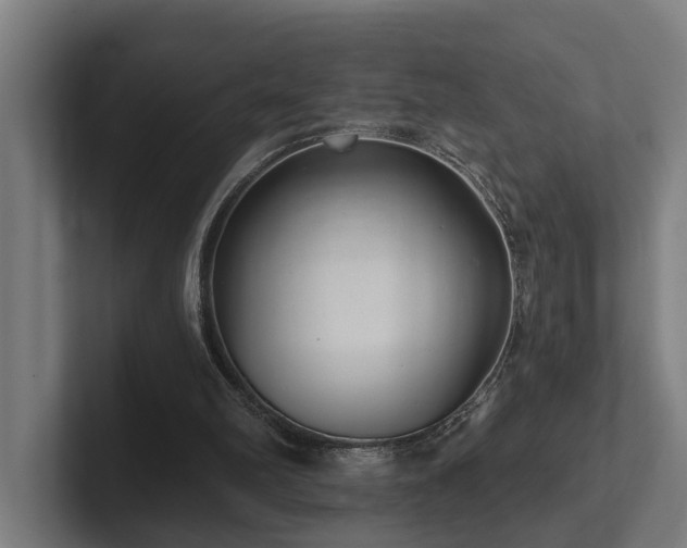 X0000102360102200808011501