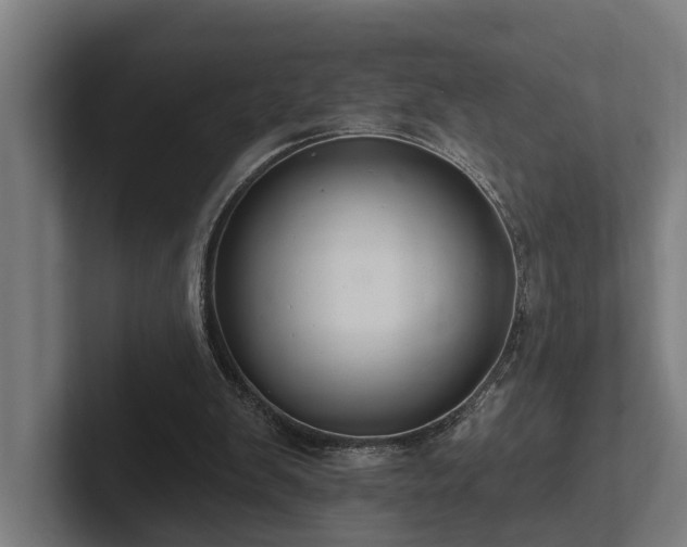 X0000102360103200808011501