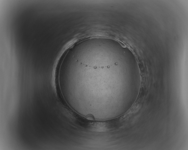 X0000102360104200808011501