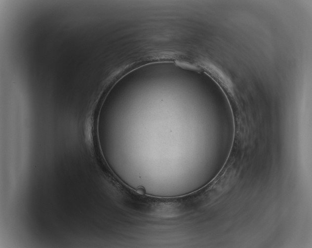 X0000102360107200808011501