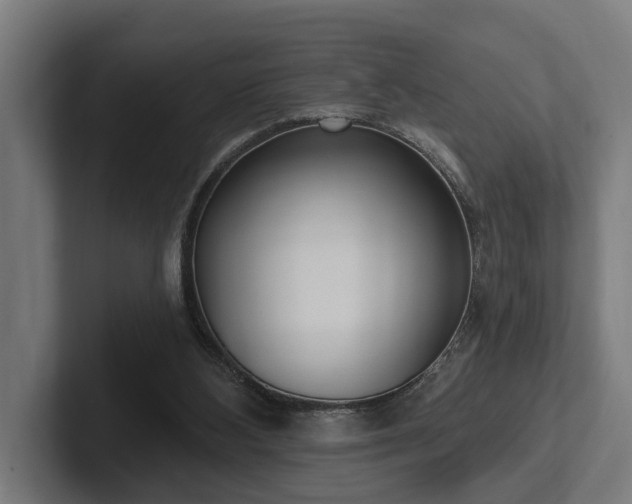 X0000102360108200808011501
