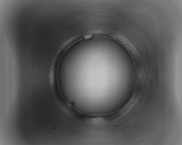 X0000102360112200808011501