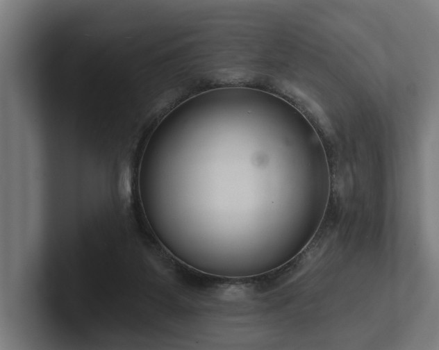 X0000102360115200808011501