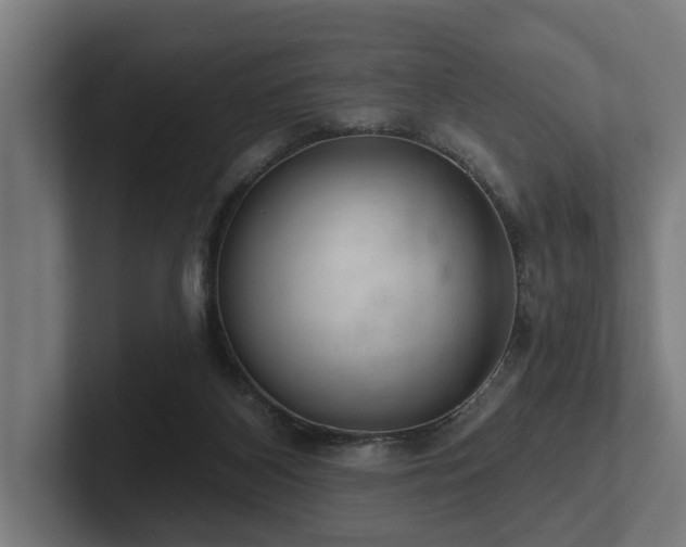 X0000102360116200808011501