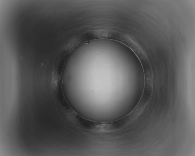 X0000102360125200808011500