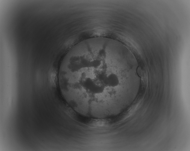 X0000102360127200808011500
