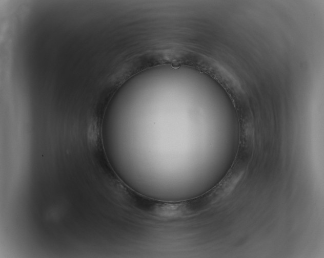 X0000102360129200808011500