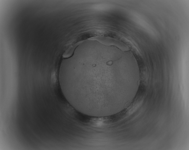 X0000102360131200808011500