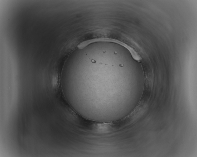 X0000102360134200808011500