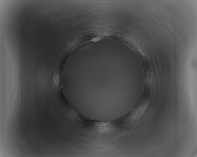 X0000102360139200808011500