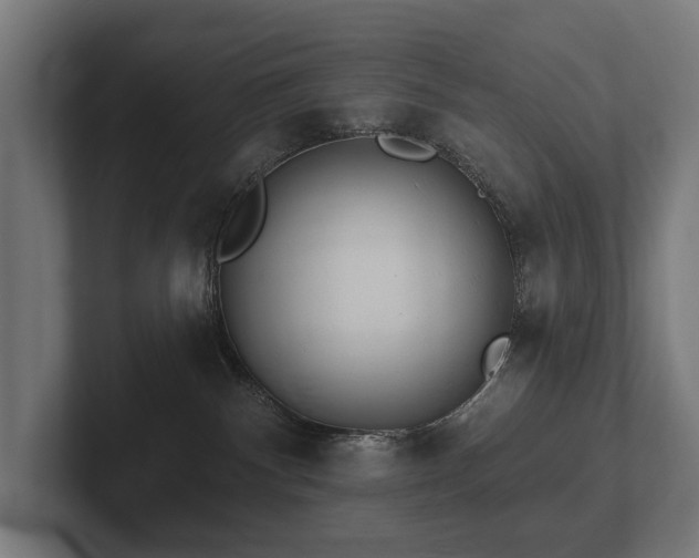 X0000102360140200808011500