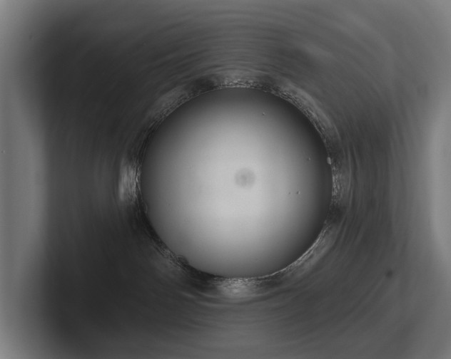 X0000102360142200808011500