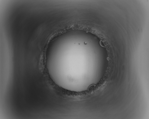 X0000102360144200808011500