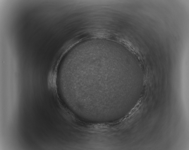 X0000102360146200808011500