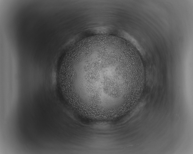 X0000102360161200808011500