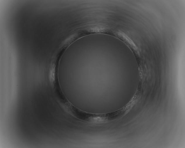 X0000102360163200808011500