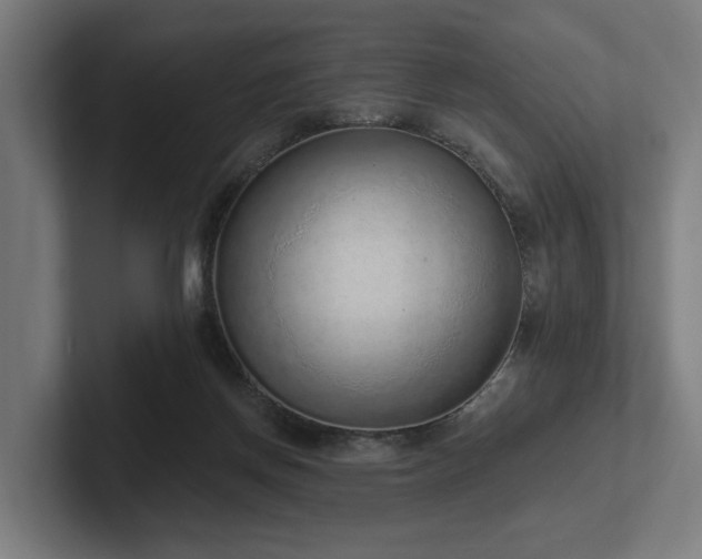 X0000102360166200808011500