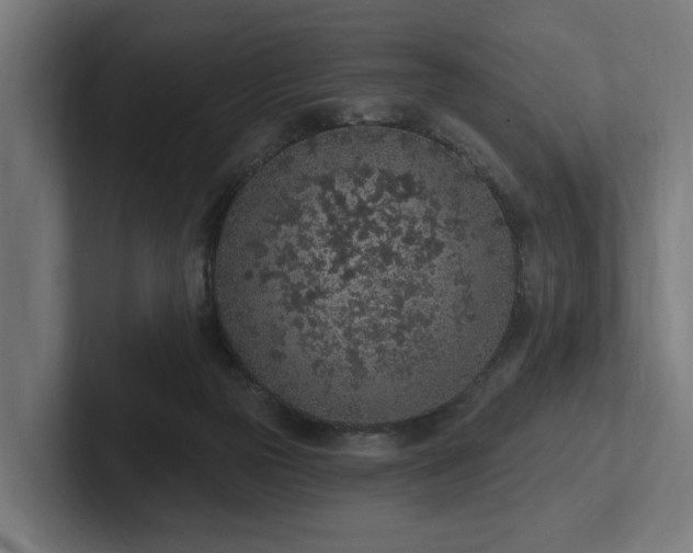 X0000102360169200808011500