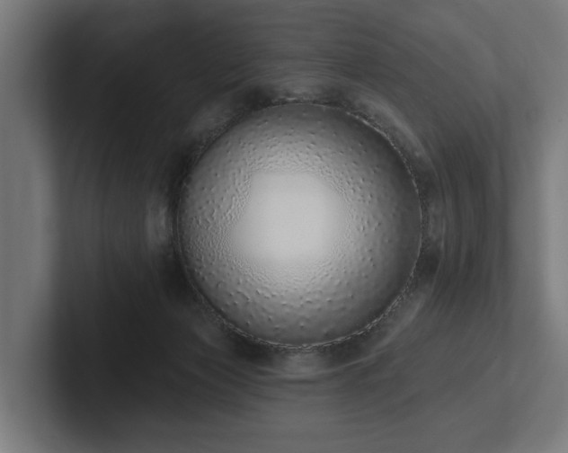 X0000102360173200808011500