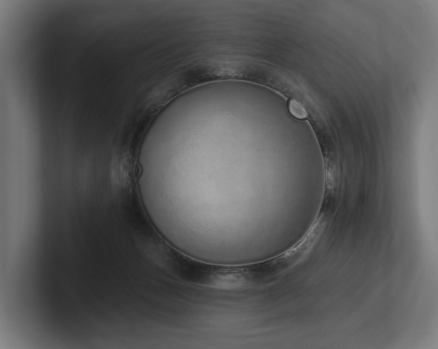 X0000102360175200808011500
