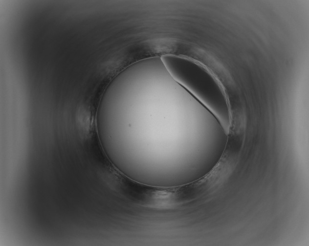 X0000102360176200808011500