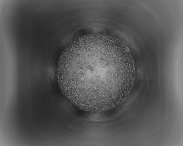 X0000102360177200808011500