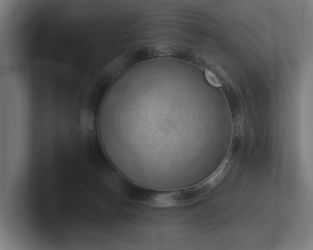 X0000102360178200808011500