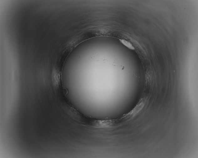 X0000102360188200808011500