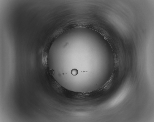 X0000102360190200808011500